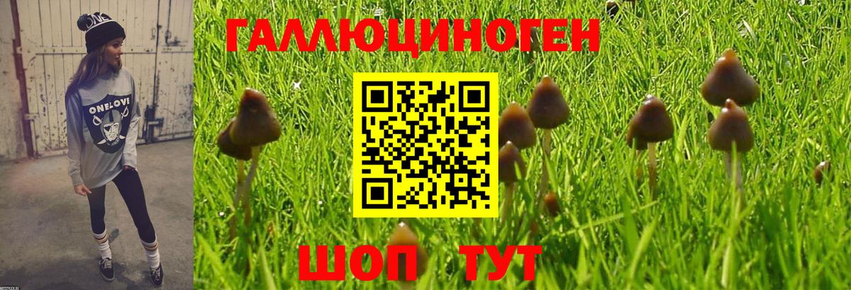 Галлюциногенные грибы мухоморы Югорск
